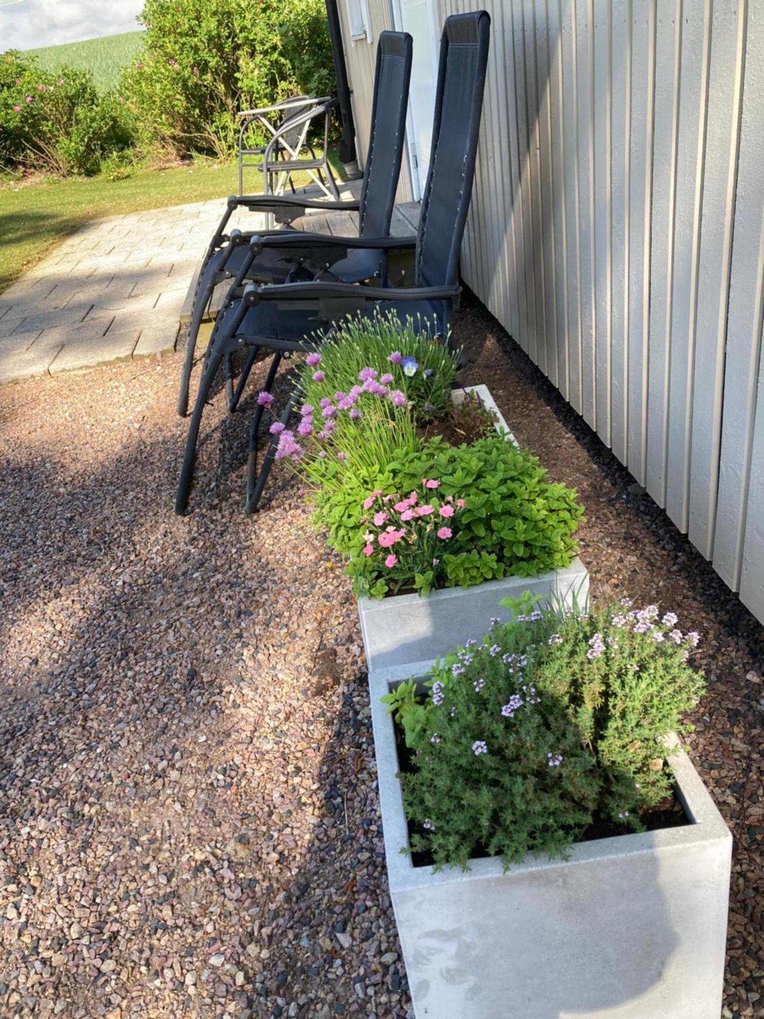 Slimmingegarden 1019 Villa Skurup Екстериор снимка